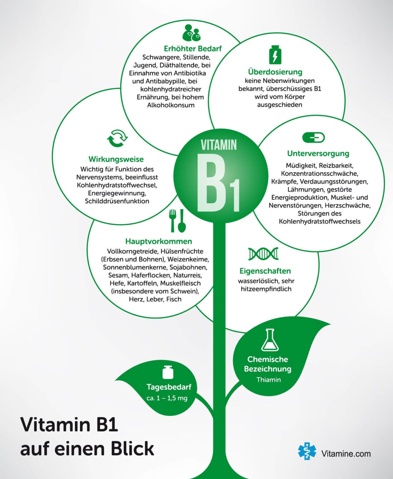 Infografiken zu allen Vitaminen - vitamine.com