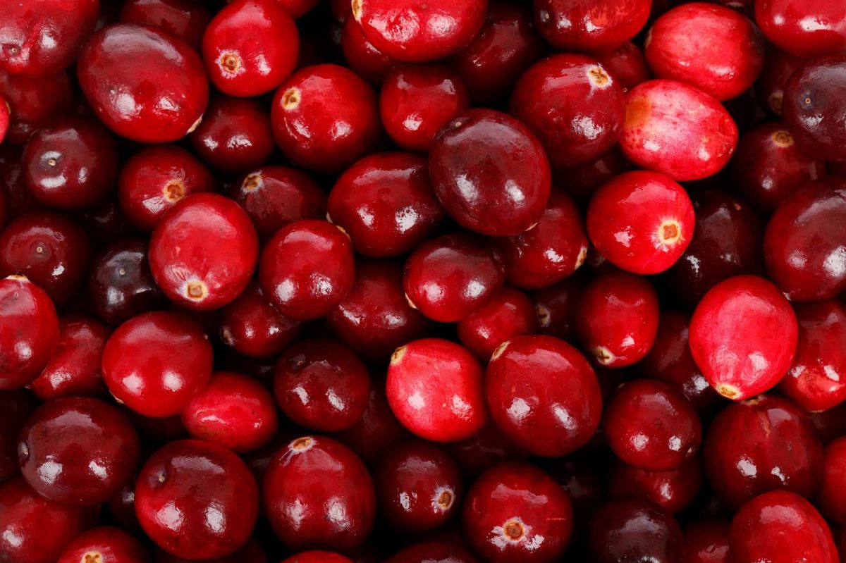 Welche Vitamine Stecken In Der Cranberry